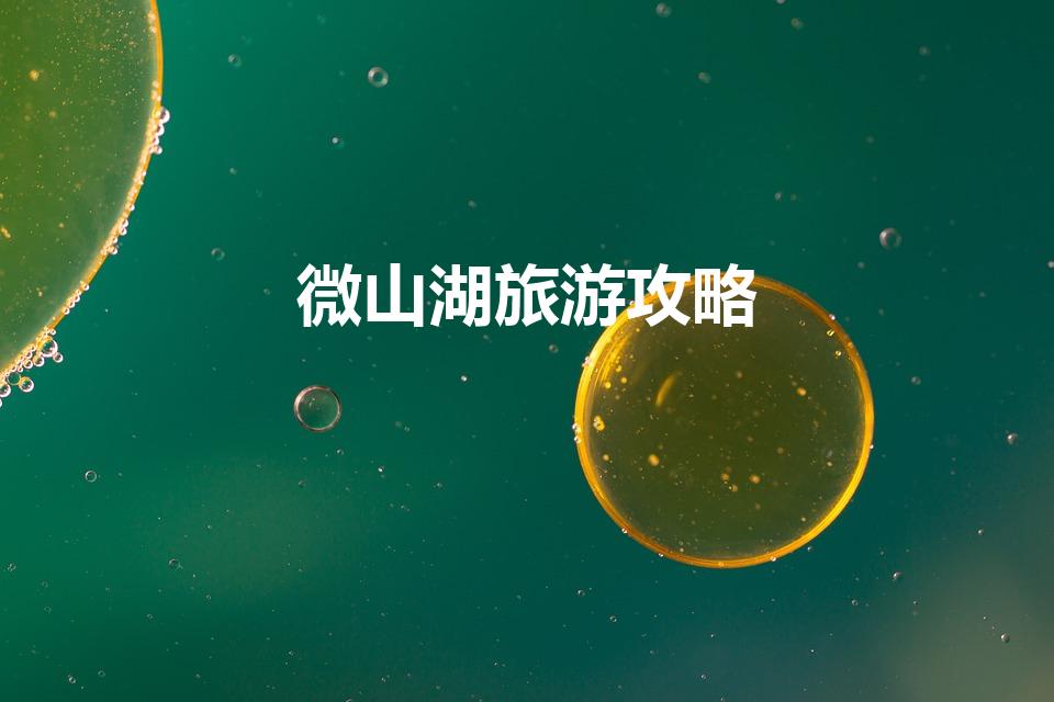 微山湖旅游攻略（微山岛自驾一日游攻略）