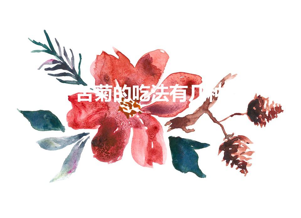 苦菊的吃法有几种（苦菊的吃法大全）