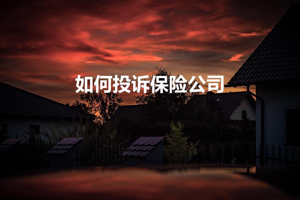 如何投诉保险公司（如何投诉保险公司最有效）