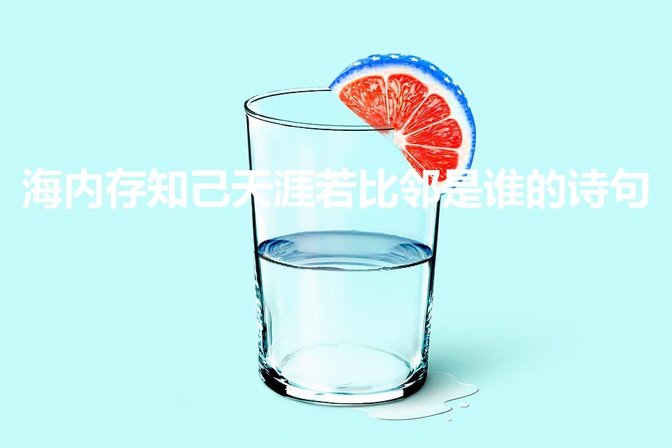 海内存知己天涯若比邻是谁的诗句