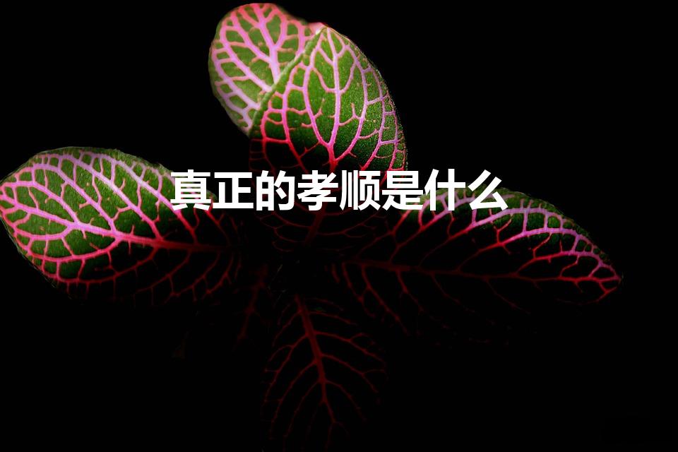 真正的孝顺是什么（什么是孝顺真正的定义）