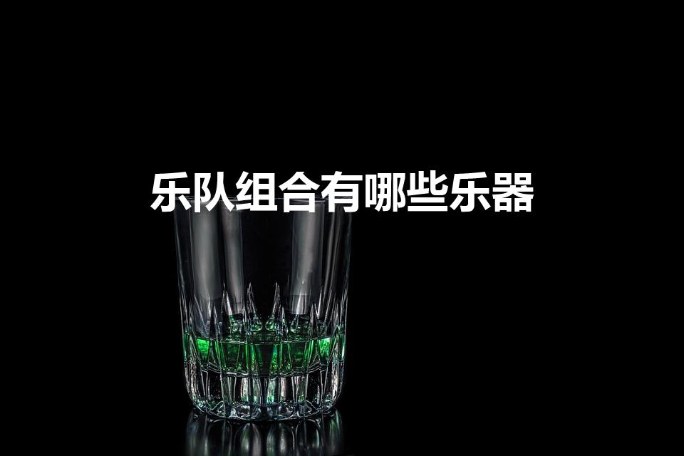 乐队组合有哪些乐器（通常乐队都需要什么乐器）