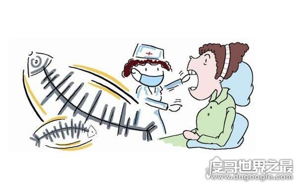 鱼刺的拼音（鱼刺拼音解析）