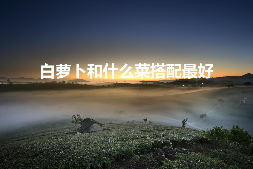 白萝卜和什么菜搭配最好（白萝卜宜搭配的菜）