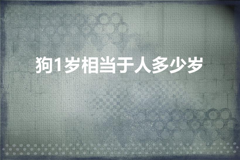 狗1岁相当于人多少岁（狗狗一岁等于人类几岁）