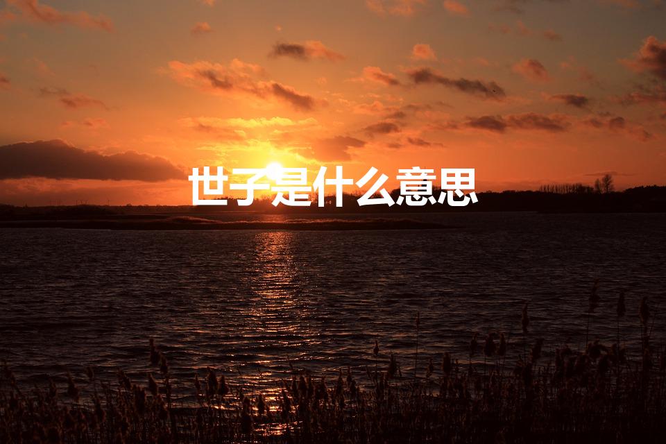 世子是什么意思（世子是什么意思 世子意思详解）