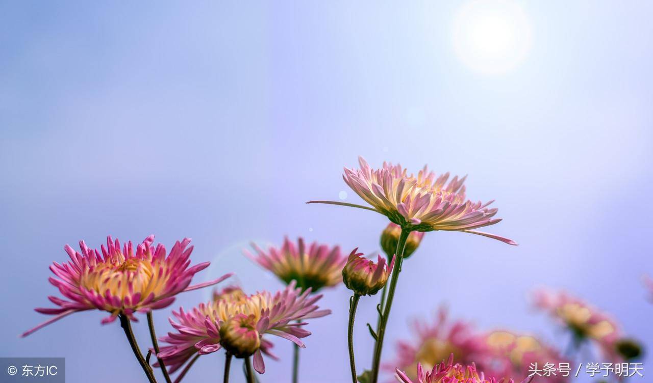 153736374655021f43b8963noop.image_ 153736374655021f43b8963noop.image_