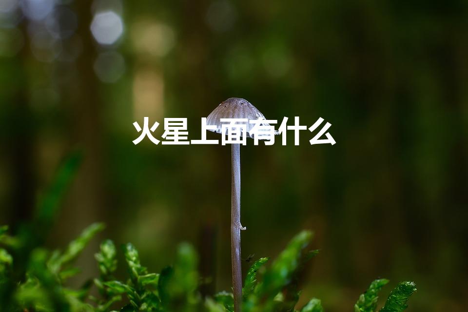 火星上面有什么（火星上都有什么）