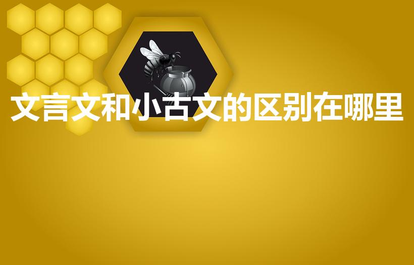 文言文和小古文的区别在哪里（小古文和文言文有没有区别）