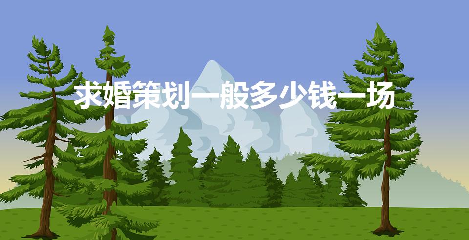 求婚策划一般多少钱一场（策划一场求婚需要多少钱）
