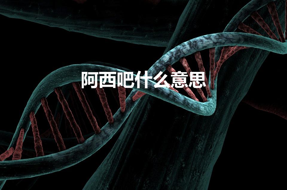 阿西吧什么意思（阿西吧是什么意思）