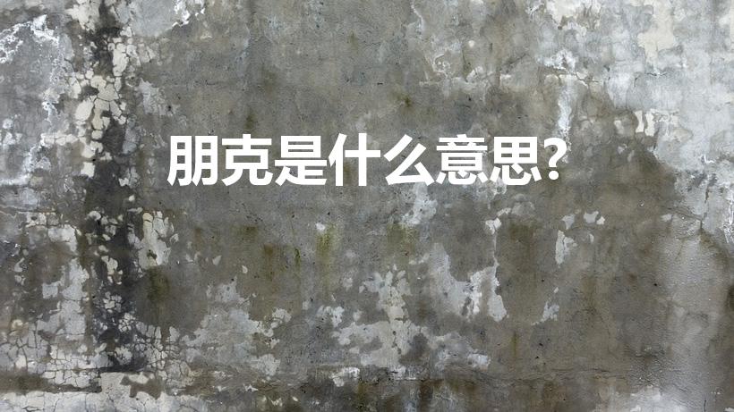 朋克是什么意思?（朋克是什么意思请看清楚问题描述）