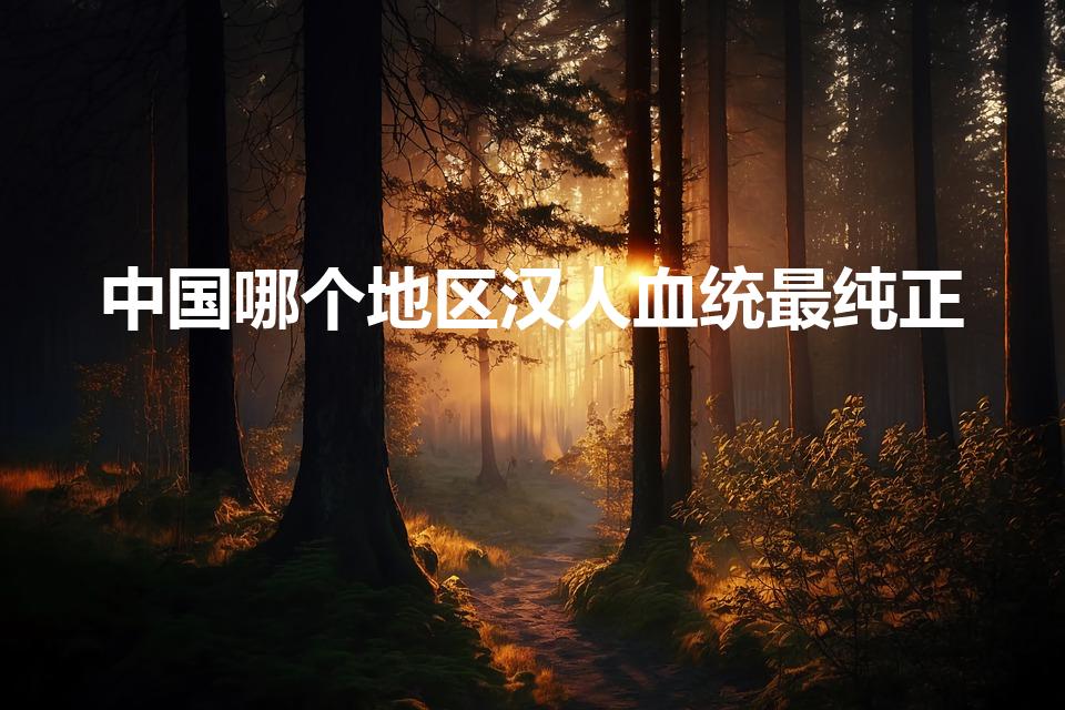 中国哪个地区汉人血统最纯正