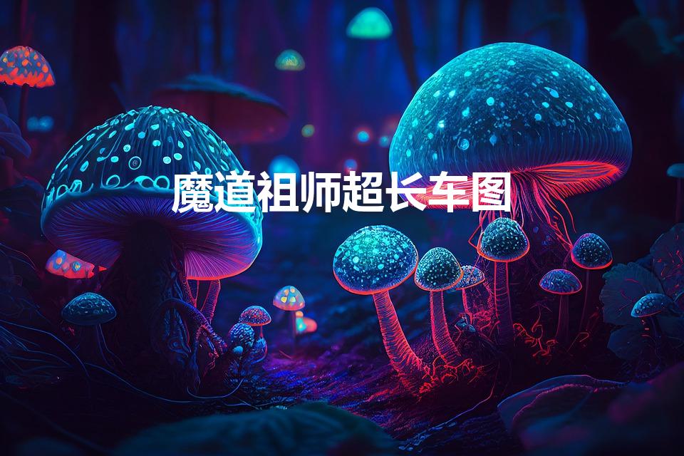 魔道祖师超长车图