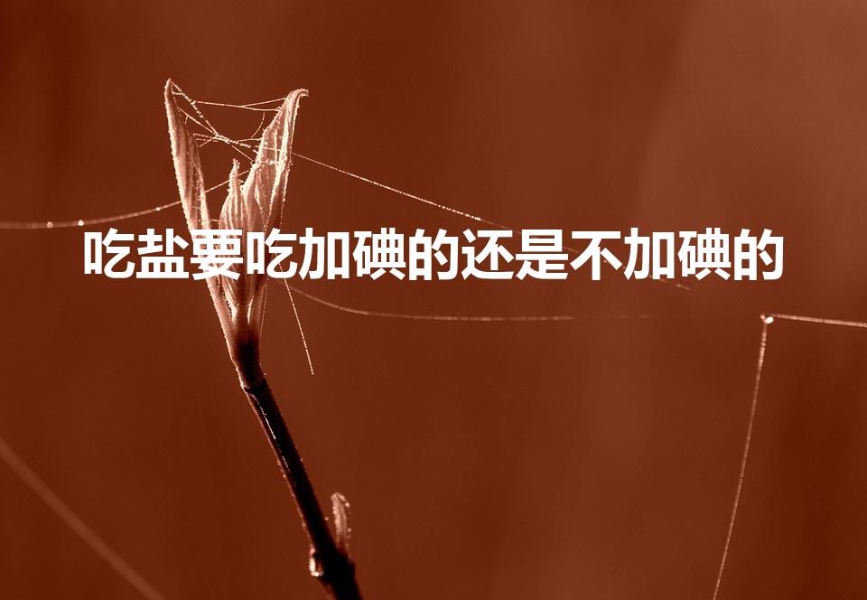 吃盐要吃加碘的还是不加碘的（食用盐加碘好还是不加碘好）