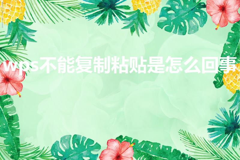wps不能复制粘贴是怎么回事（wps怎么不能复制粘贴）