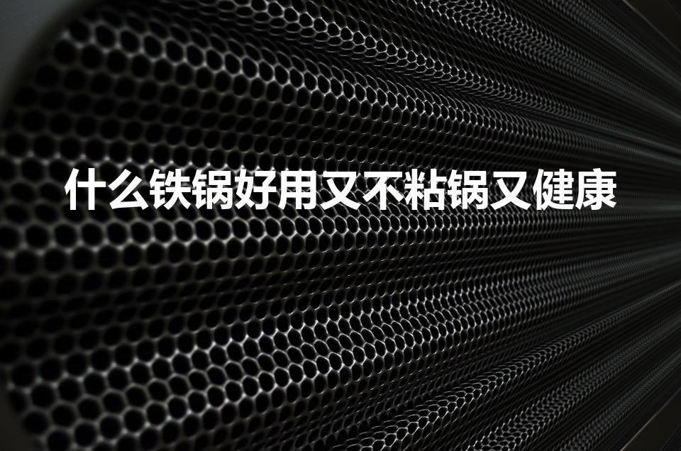 什么铁锅好用又不粘锅又健康（什么锅好用又不粘锅又健康）