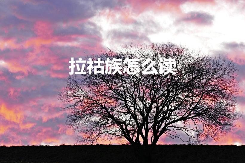 拉祜族怎么读（拉祜族的读音怎么读你读对了吗）