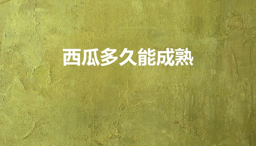 西瓜多久能成熟（西瓜多久才可以成熟）