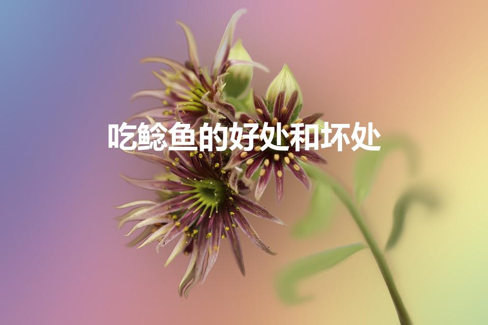 吃鲶鱼的好处和坏处（吃鲶鱼的利弊）