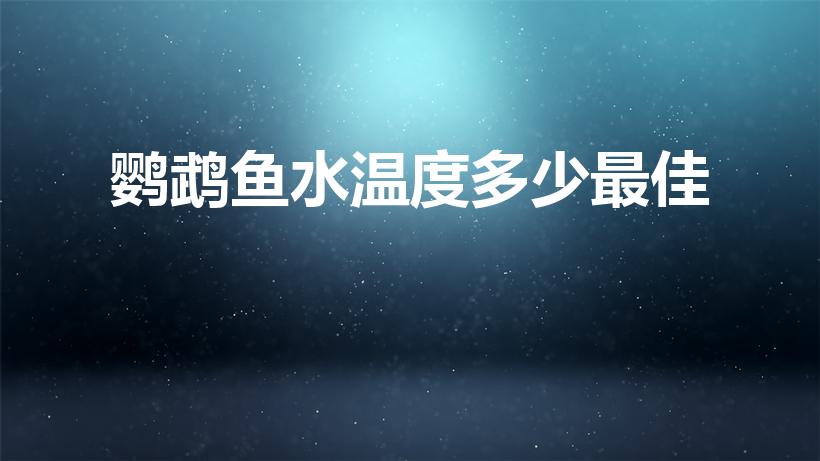 鹦鹉鱼水温度多少最佳（鹦鹉鱼的水温）