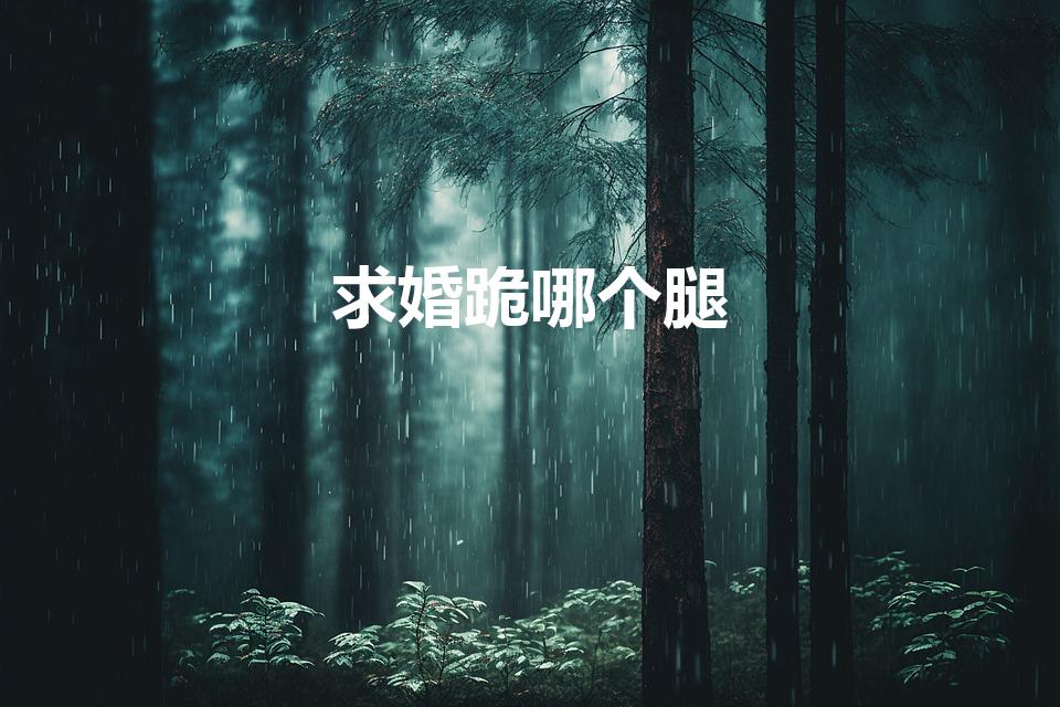 求婚跪哪个腿（求婚是跪左腿还是右腿）