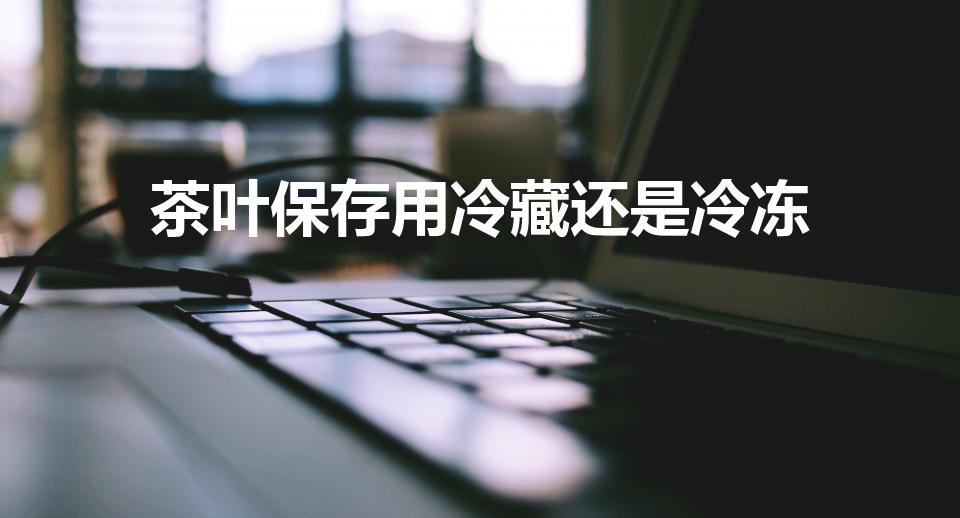 茶叶保存用冷藏还是冷冻（茶叶放冷藏保鲜还是冷冻保鲜好）
