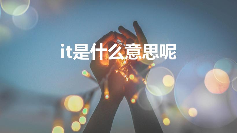 it是什么意思呢（it是什么意思）