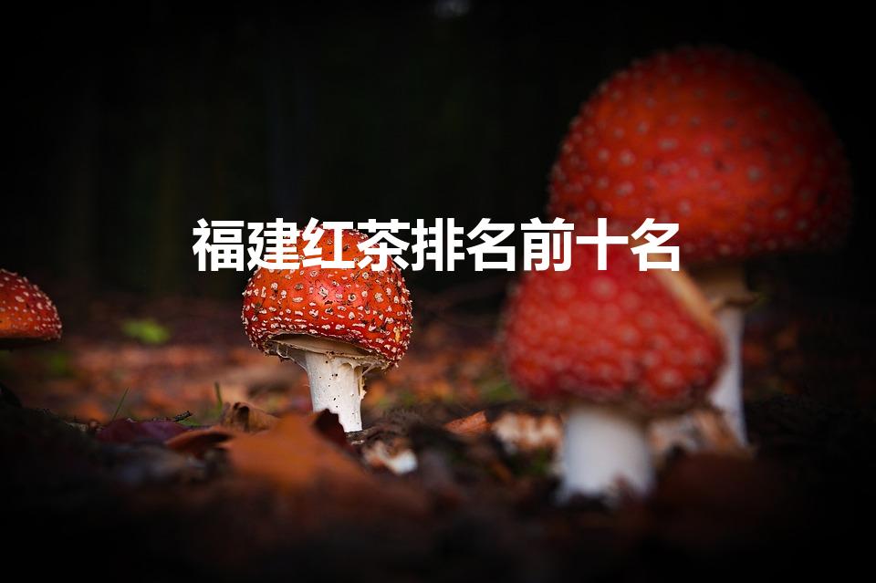 福建红茶排名前十名（中国十大红茶品牌最新排名）