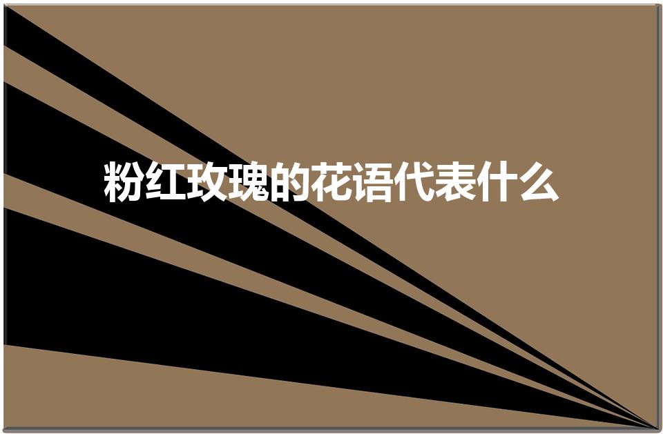 粉红玫瑰的花语代表什么（粉色玫瑰花代表什么意思）