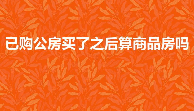 已购公房买了之后算商品房吗（已购公房交易后会变商品房吗）
