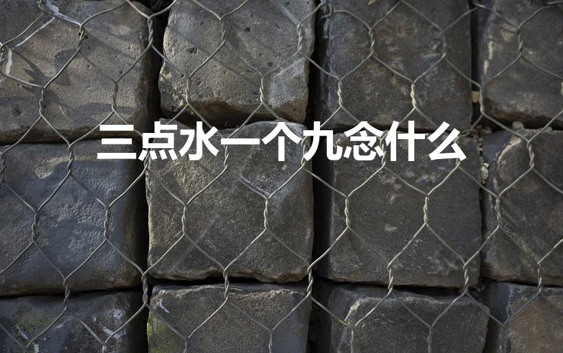 三点水一个九念什么（三点水加一个“九”念什么急!!!）