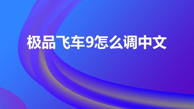 极品飞车9怎么调中文（极品飞车9中文版怎么调成中文）