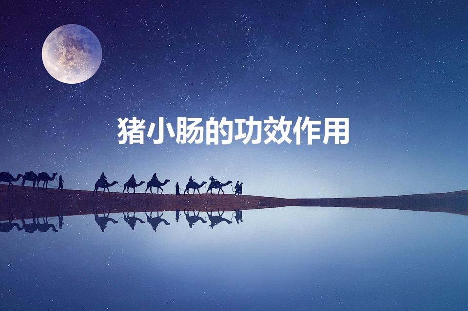 猪小肠的功效作用（猪小肠的营养价值和功效与作用有哪些）