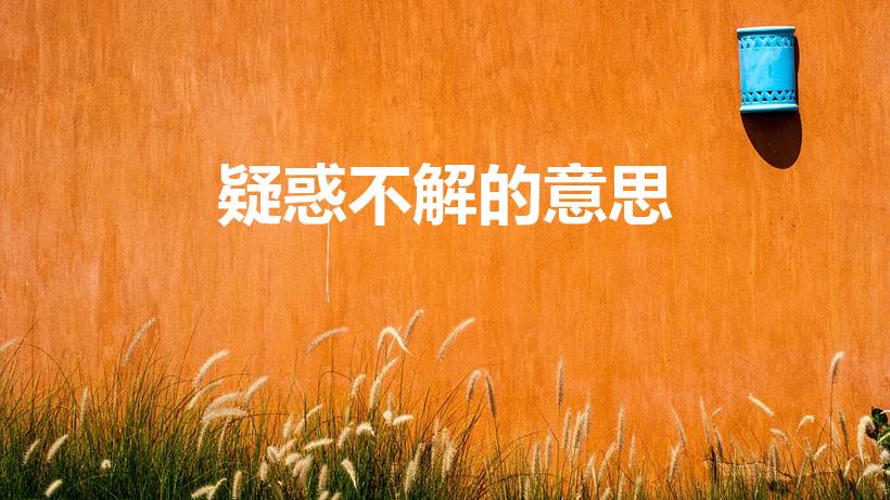 疑惑不解的意思（疑惑不解的意思是什么）
