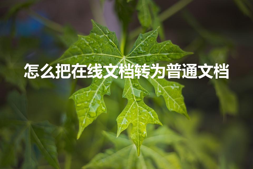 怎么把在线文档转为普通文档（在线文档怎么转成普通文件）