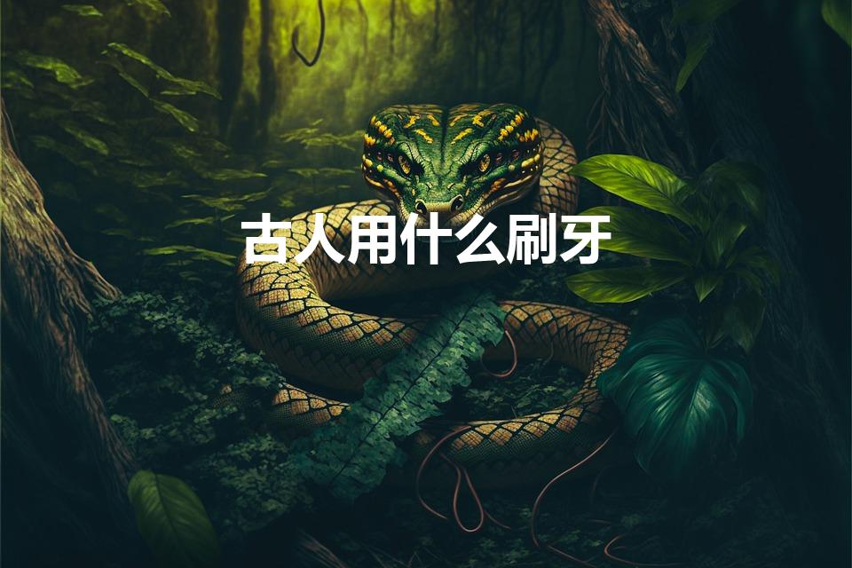 古人用什么刷牙（古代没有牙膏,人们都是用什么来刷牙的）