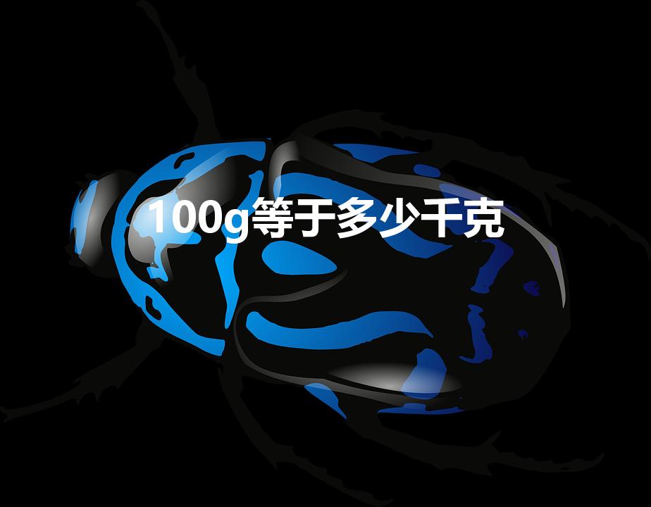 100g等于多少千克（100克有多少千克重）
