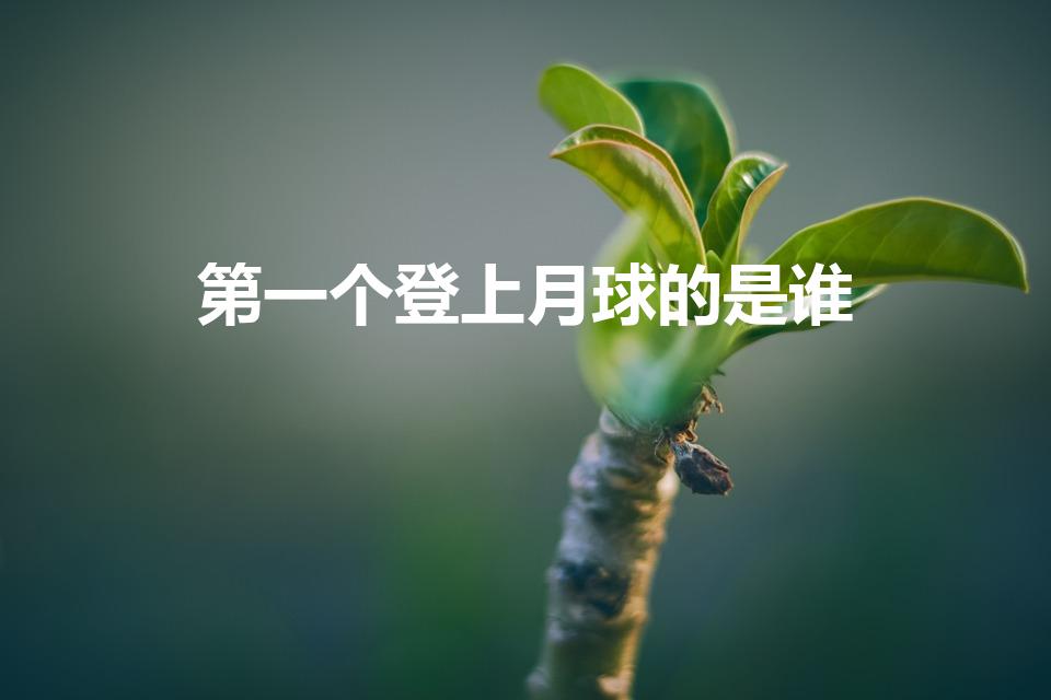 第一个登上月球的是谁（第一个登上月球的人是谁）