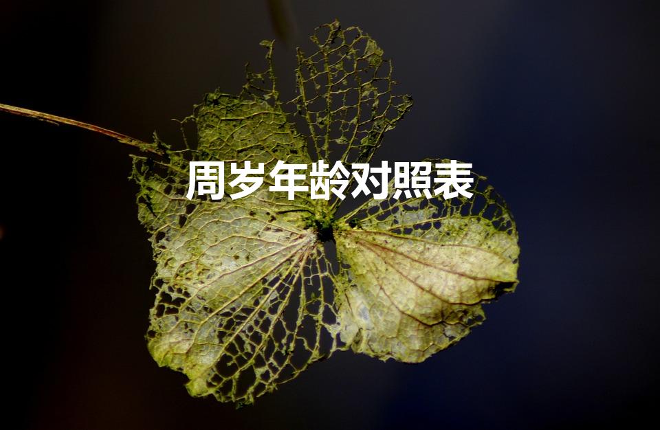 周岁年龄对照表（2020年周岁年龄对照表）