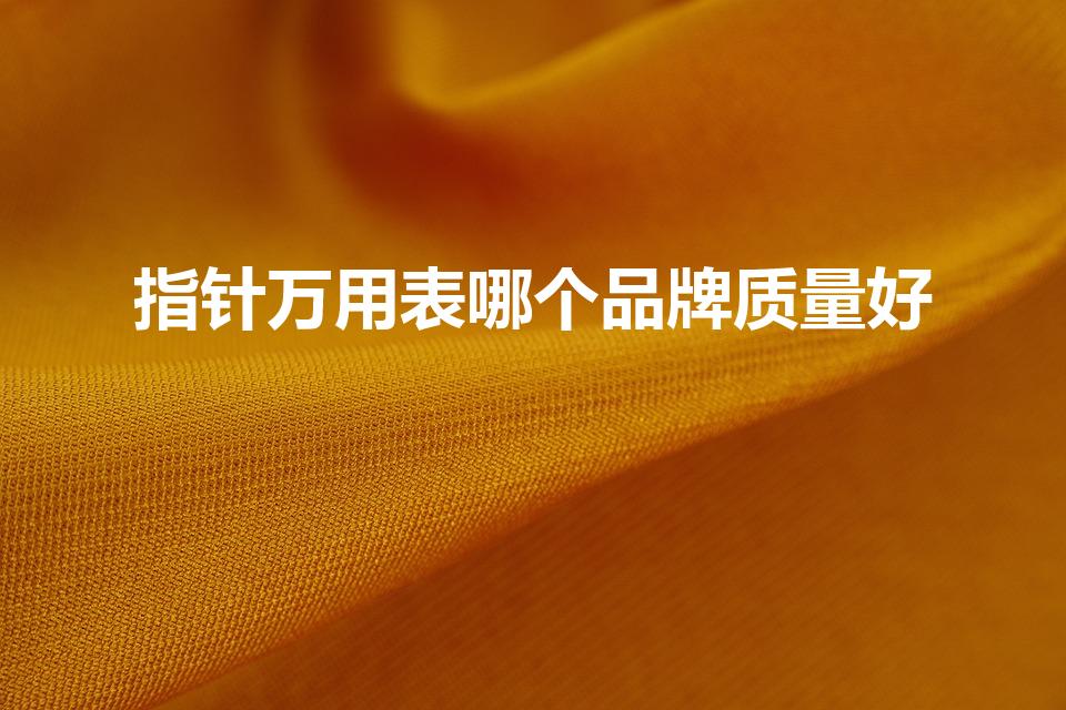 指针万用表哪个品牌质量好（中国十大万用表品牌）