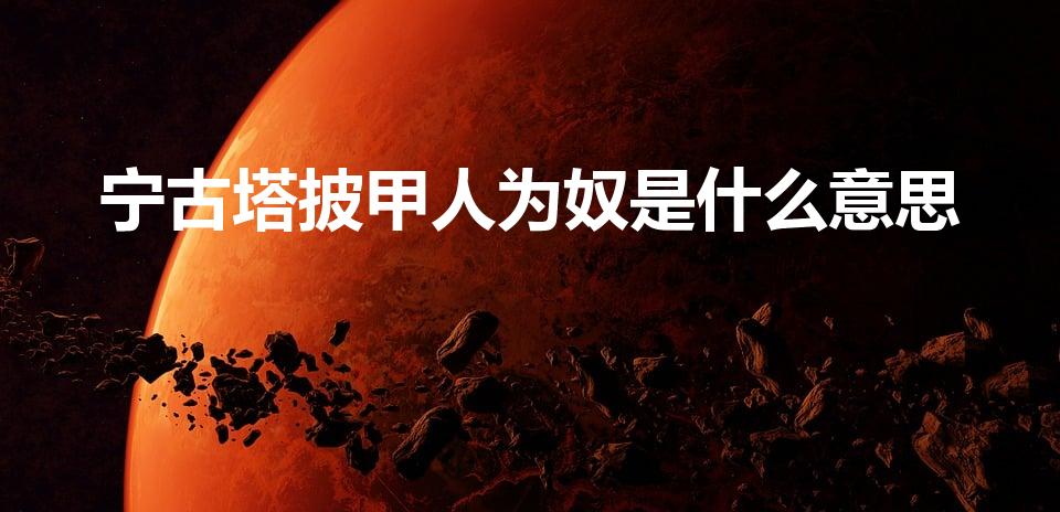 宁古塔披甲人为奴是什么意思（披甲人为奴是什么意思）