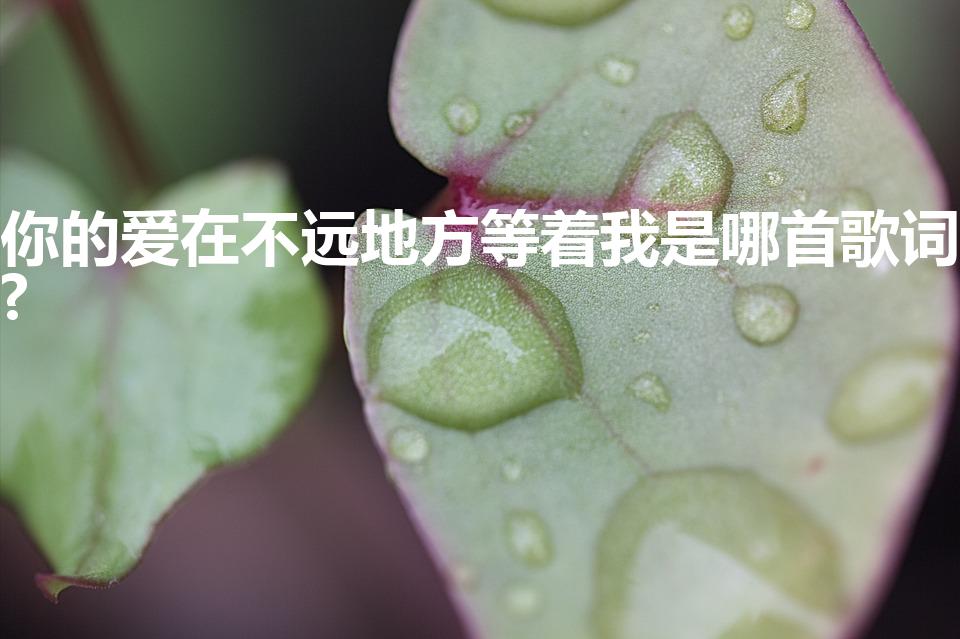 你的爱在不远地方等着我是哪首歌词?