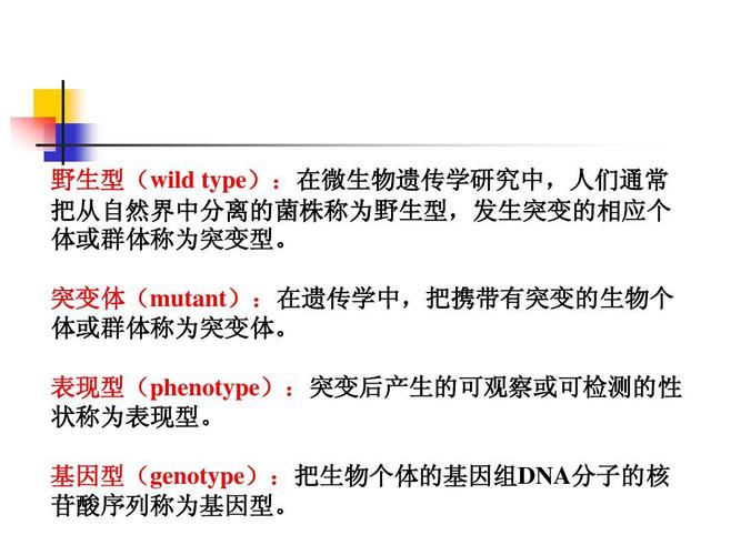 野生型和突变型的区别（野生型与突变型对比）