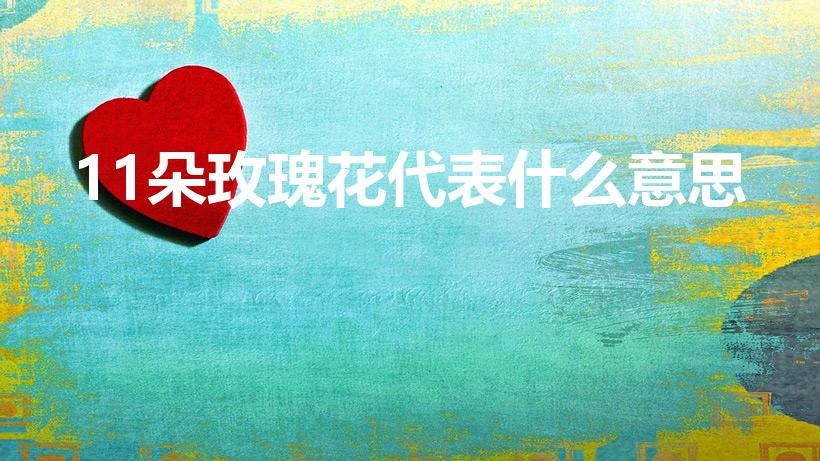 11朵玫瑰花代表什么意思（十一朵玫瑰花代表什么意思啊）