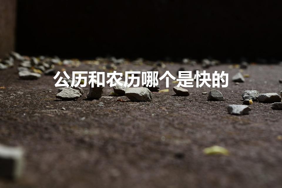 公历和农历哪个是快的（农历快还是阳历快）