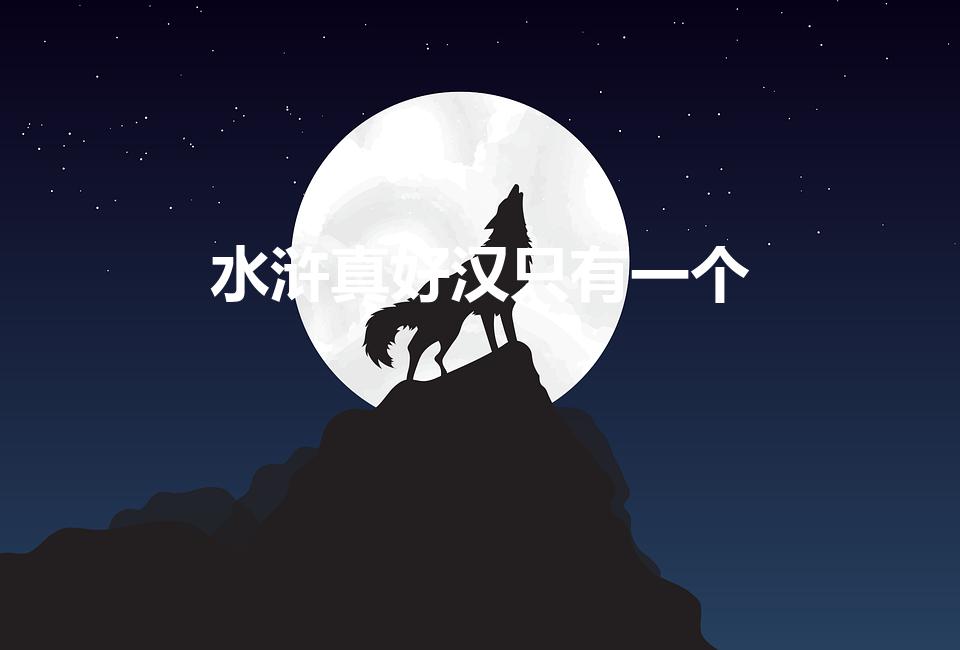 水浒真好汉只有一个
