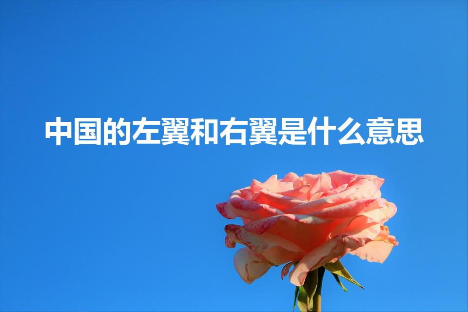 中国的左翼和右翼是什么意思（什么是左翼什么是右翼）