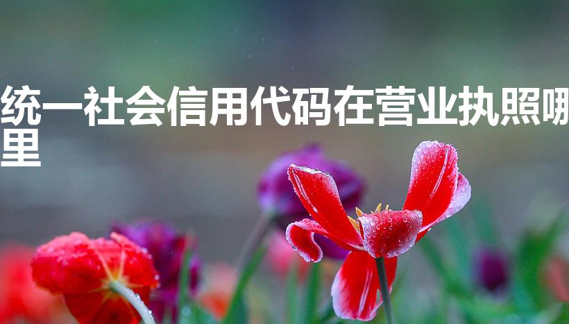 统一社会信用代码在营业执照哪里（统一信用代码在哪里看）
