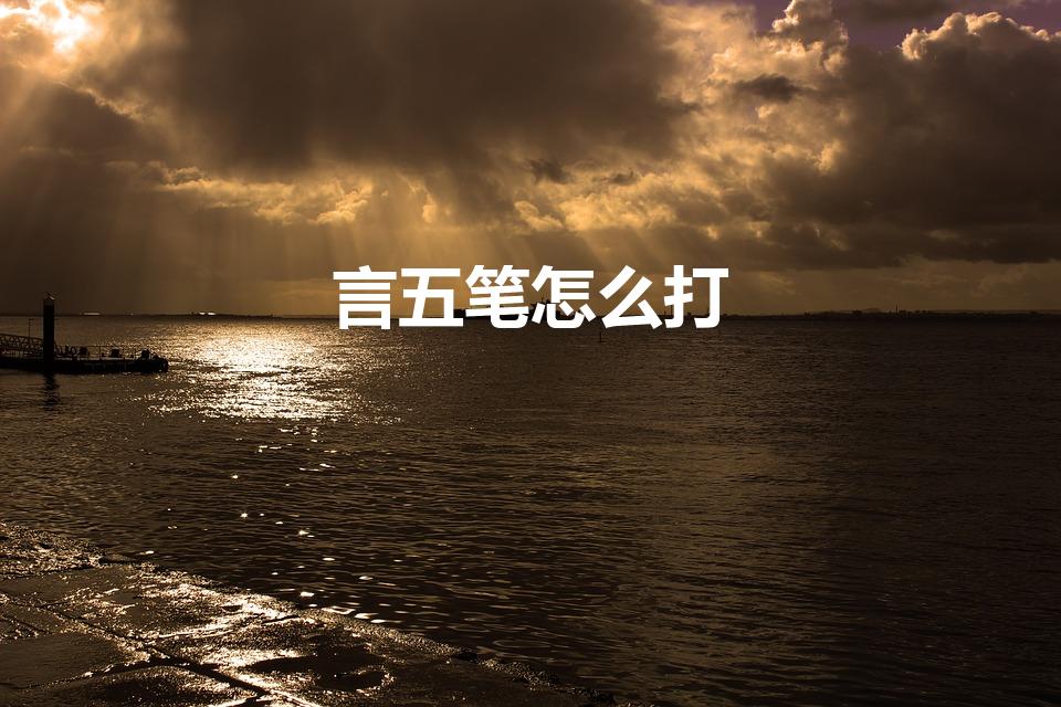 言五笔怎么打（言字用五笔怎么打）